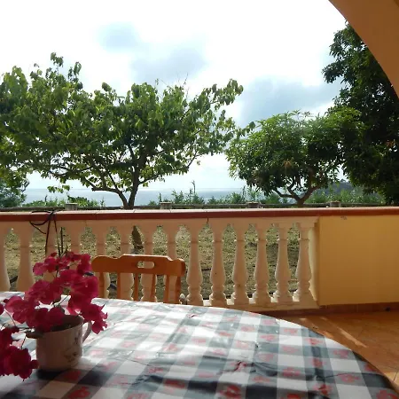 Mr. Antonio Houses 1 *